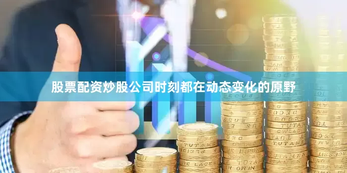 股票配资炒股公司时刻都在动态变化的原野